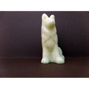 Cão